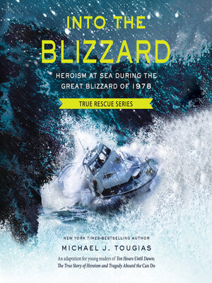 cover image of Into the Blizzard